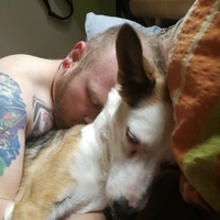 Bln_doglover's Avatar
