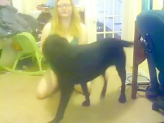 Su Juguete, Su Amiga y Su Perro