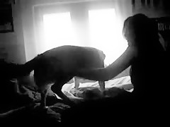 el perro de Greta
