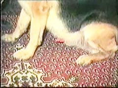 Teen Play With Rabbits