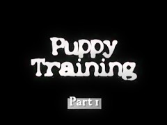 Girl fucks dog on webcam (sound)