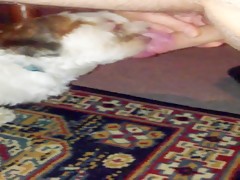 Thumb 8