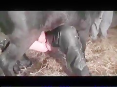Taking care of dogs to fuck afterwards