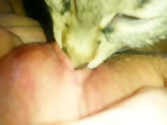 Thumb 13