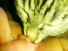 Thumb 14