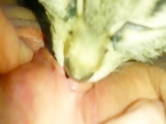 Thumb 15