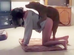I with the dog and your with my husband