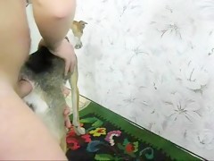 The dog filling glasses