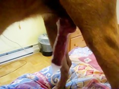 Savouring his cunt