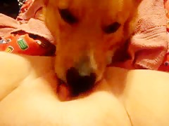 Thumb 14