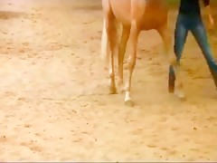 A horny teenage cutie inserting a stallion cock into her cunt