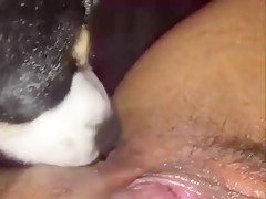 Clothed horny willing babe with glasses drilled hardcore