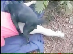 Tetona folla con el perro