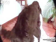 artofzoo sexy blonde woman who love dog cock