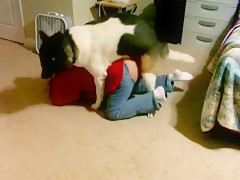 horny bitch sex animal