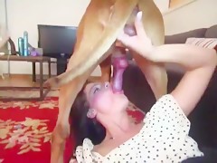 Ultimate Dog