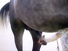 Shawn Loves Her Horse Dick