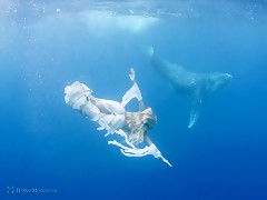 Sirens