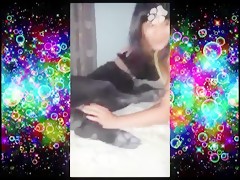spring break dogsex