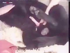 trio con perro