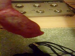 Dog dick
