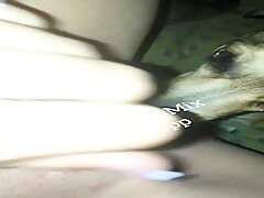 Tasty pussy