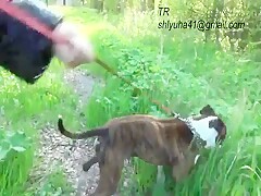 piss dog drink