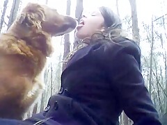 Dog Walk