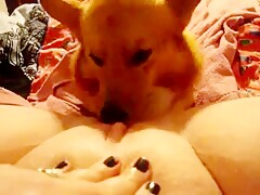 Licking in Bed