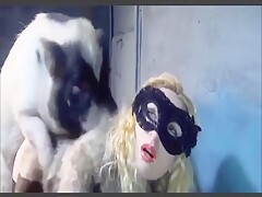 Video 002