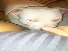 Licking on command