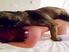 Redhair girl in threesome with bf and dog