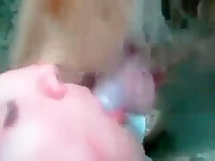 Quck Blow